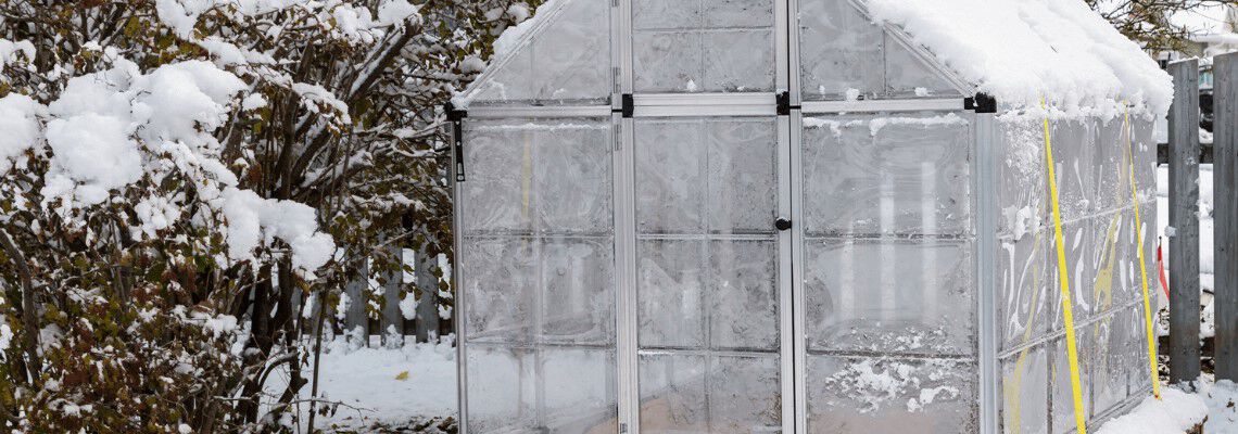 [paste advice page name here]